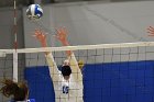 Women’s VB intersquad  Women’s Volleyball inter-squad match. : Women’s Volleyball, VB, inter squad, intersquad